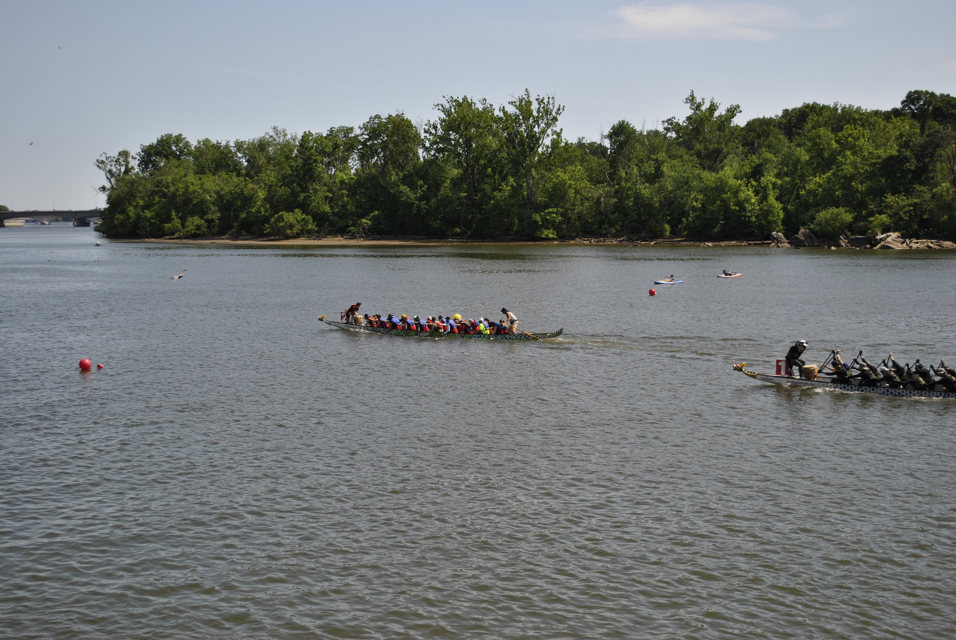 DC Dragon Boat Festival at Georgetown Waterfront Park